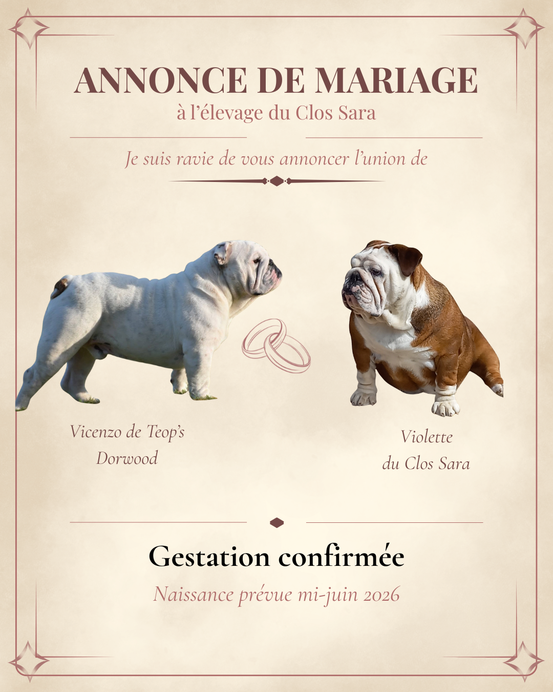 Du clos sara - Mariage